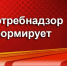 Составляем здоровый рацион для ребенка - Неверкинский район