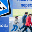 На территории Неверкинского района проводится профилактическое мероприятие "Пешеход", пешеходный переход" - Неверкинский район