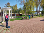 Более 86 тысяч пензенцев приняли участие во Всероссийском субботнике