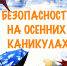 Правила безопасности в период осенних каникул - Неверкинский район