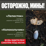 Порядок действий при обнаружении взрывоопасных предметов (мины «Лепесток» и «Колокольчик»)